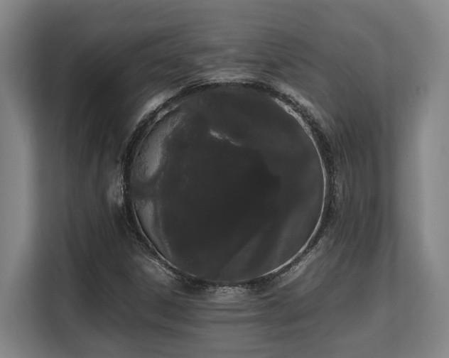 X0000108481306200904031421