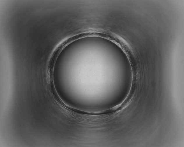X0000108481310200904031421