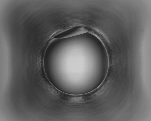 X0000108481313200904031421