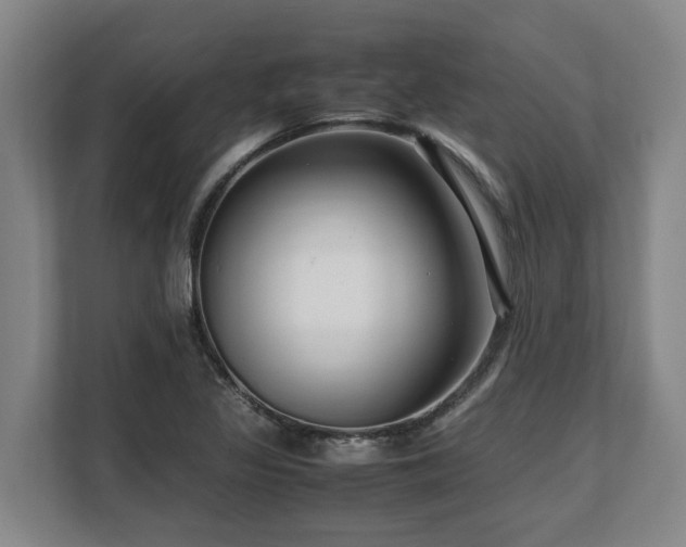 X0000108481317200904031421