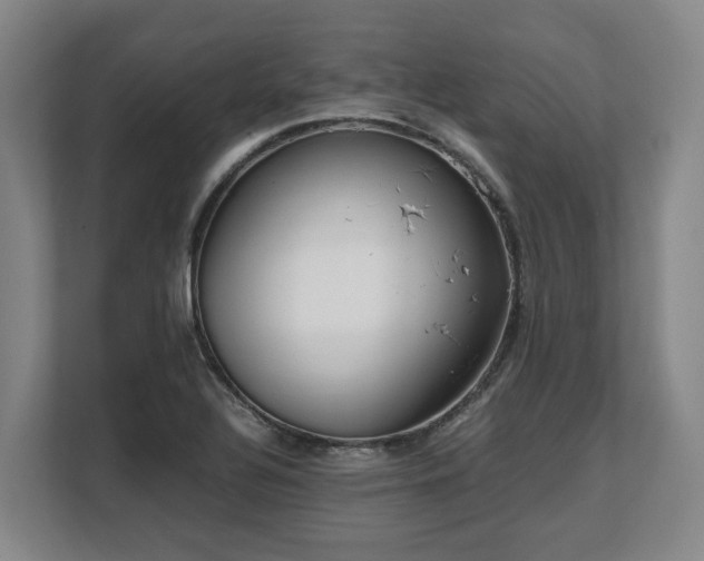 X0000108481320200904031422