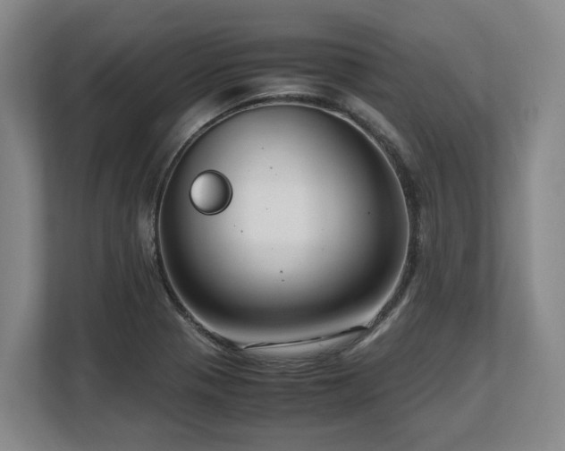 X0000108481321200904031422