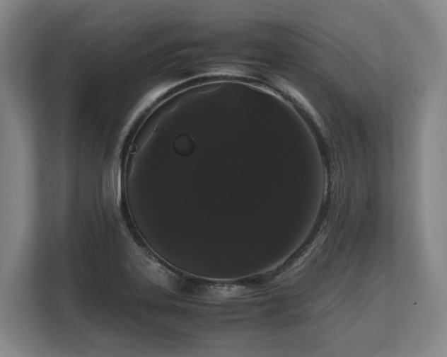 X0000108481323200904031422