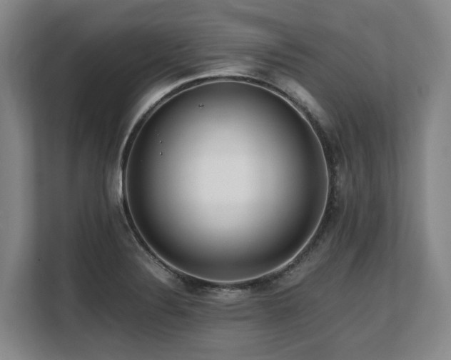X0000108481324200904031422