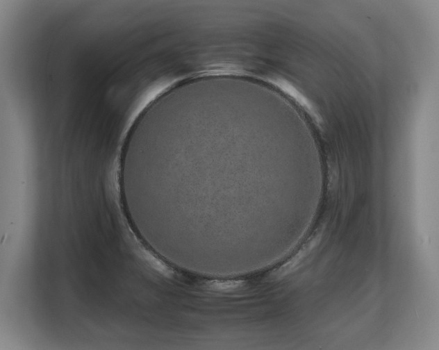 X0000108481325200904031422