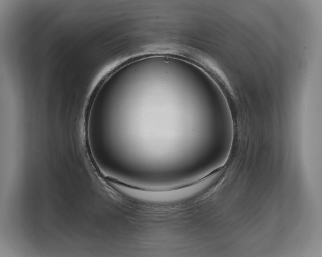 X0000108481328200904031422