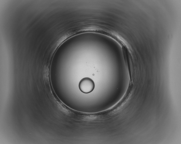 X0000108481329200904031422