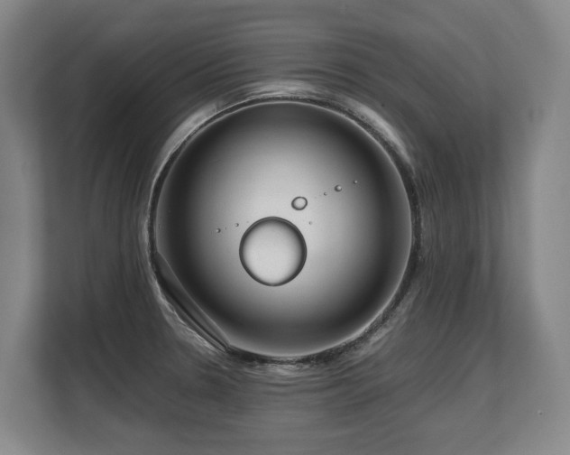 X0000108481330200904031422