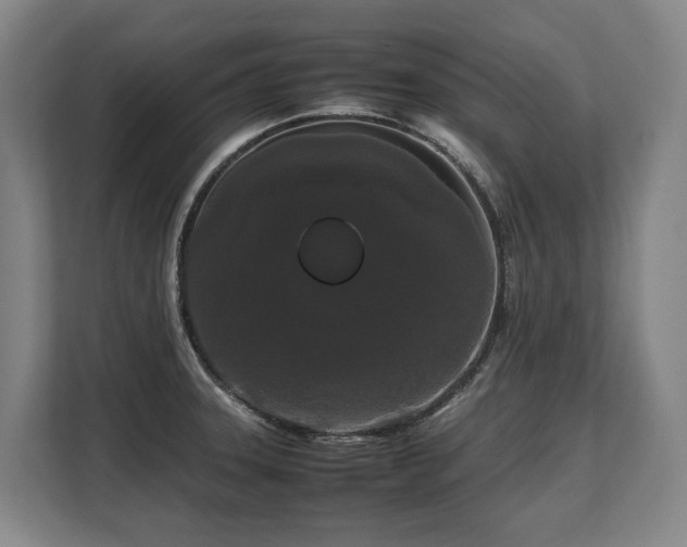 X0000108481331200904031422