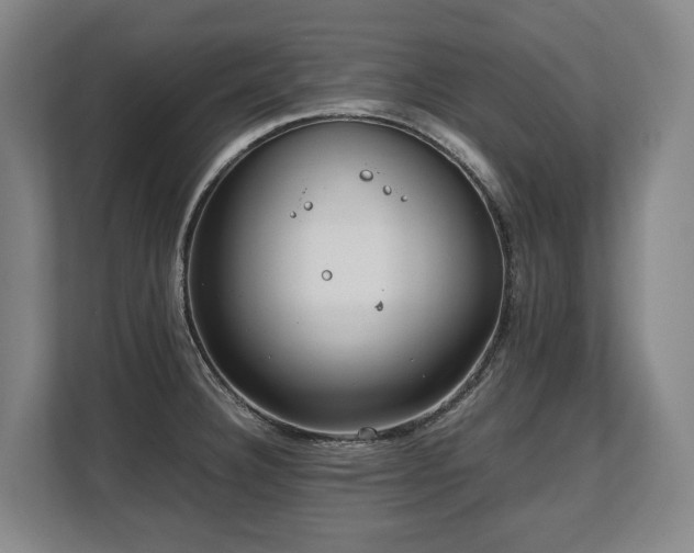 X0000108481332200904031422