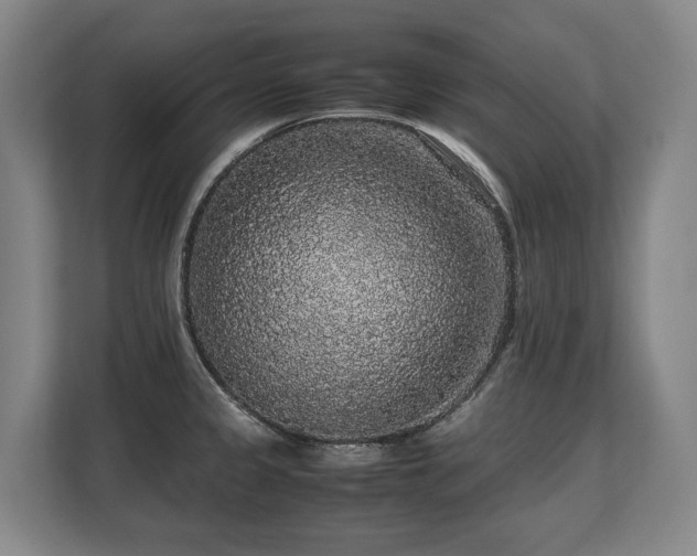 X0000108481333200904031422