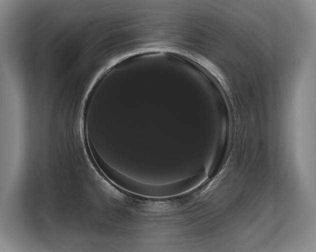 X0000108481334200904031422