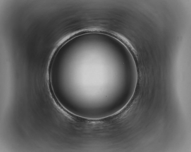 X0000108481335200904031422