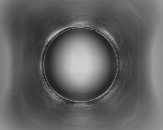 X0000108481336200904031422