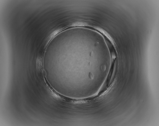X0000108481337200904031422
