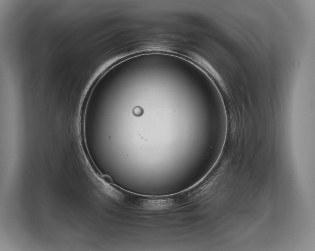 X0000108481339200904031422