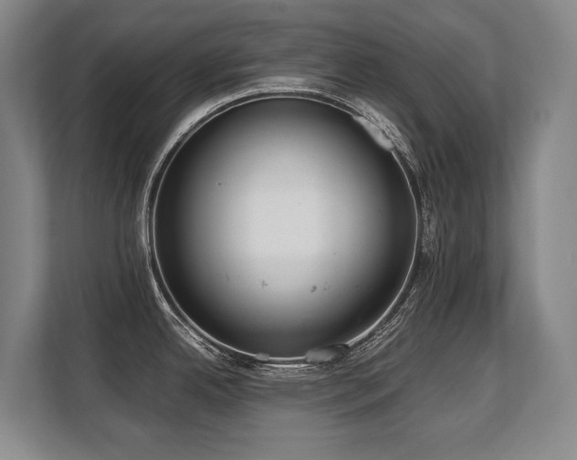 X0000108481342200904031422
