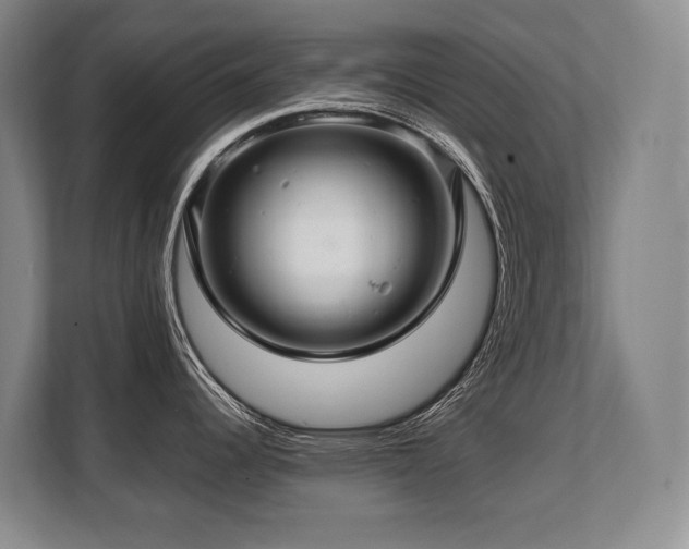X0000108481344200904031422