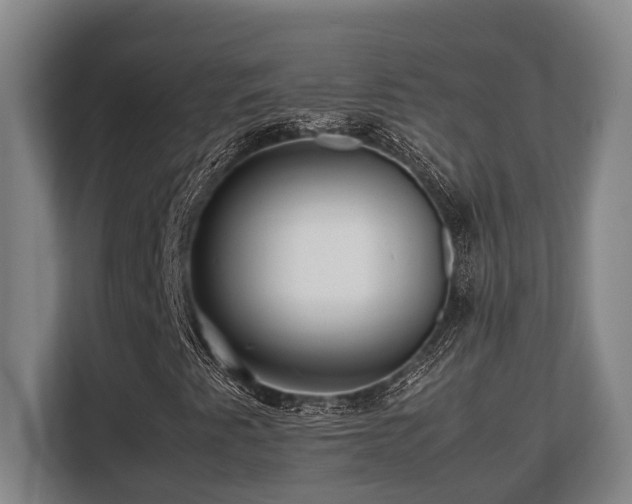 X0000108481345200904031421
