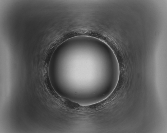 X0000108481349200904031421