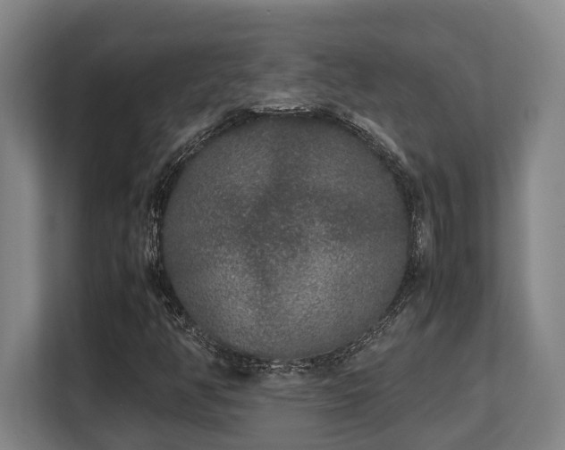 X0000108481350200904031421