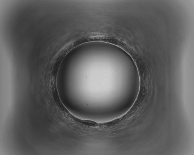 X0000108481351200904031421