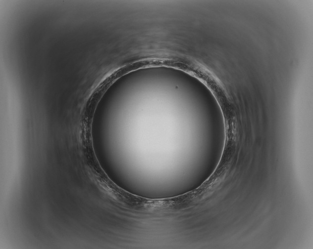 X0000108481352200904031421