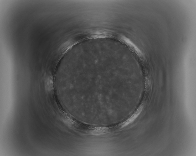 X0000108481353200904031421