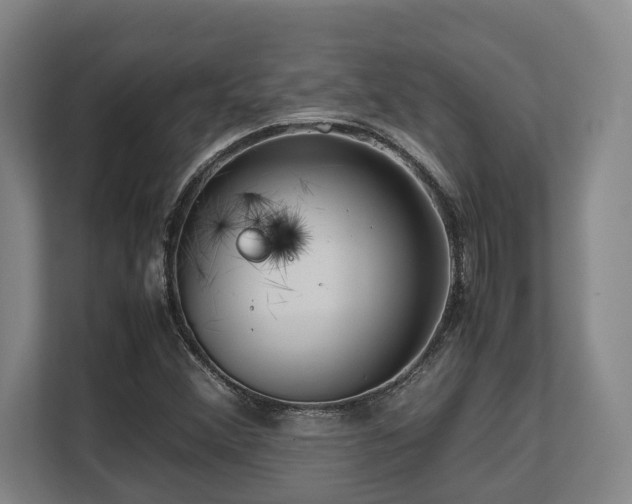 X0000108481356200904031421