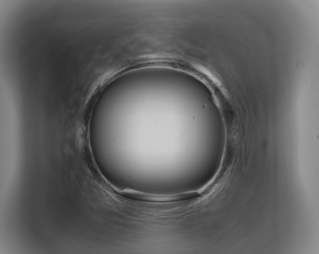 X0000108481357200904031421
