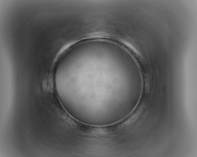 X0000108481358200904031421