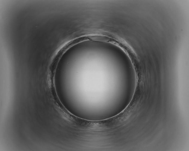 X0000108481360200904031421