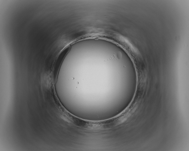 X0000108481361200904031421