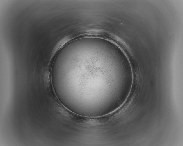 X0000108481362200904031421