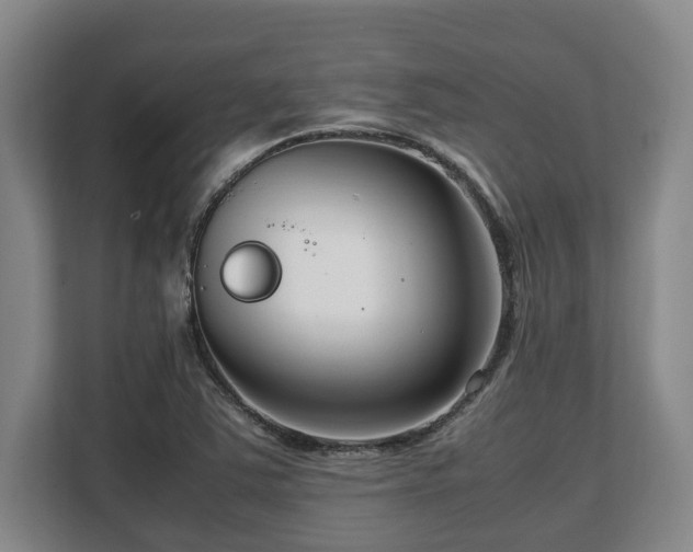 X0000108481363200904031421