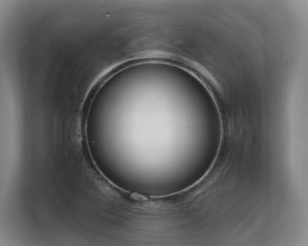 X0000108481364200904031421