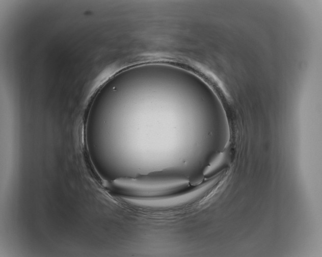 X0000108481365200904031421