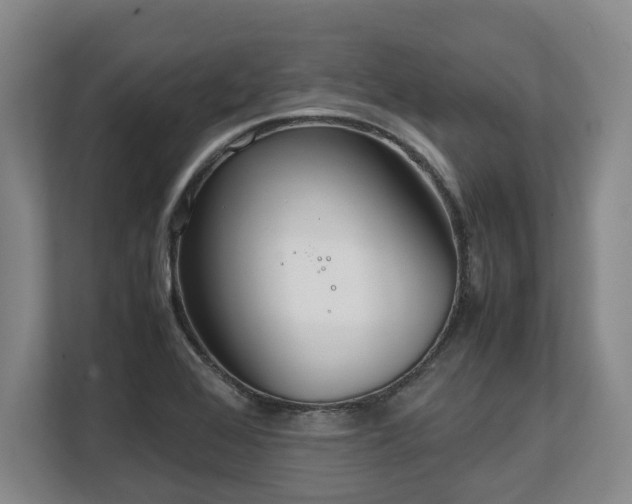 X0000108481368200904031421
