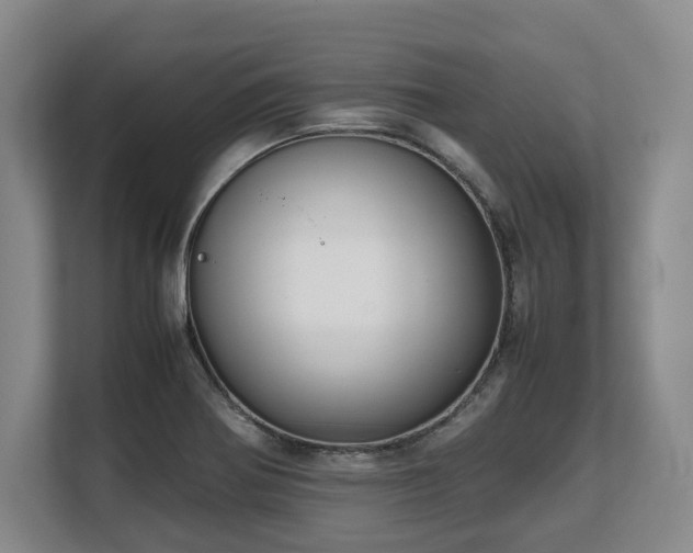 X0000108481370200904031421