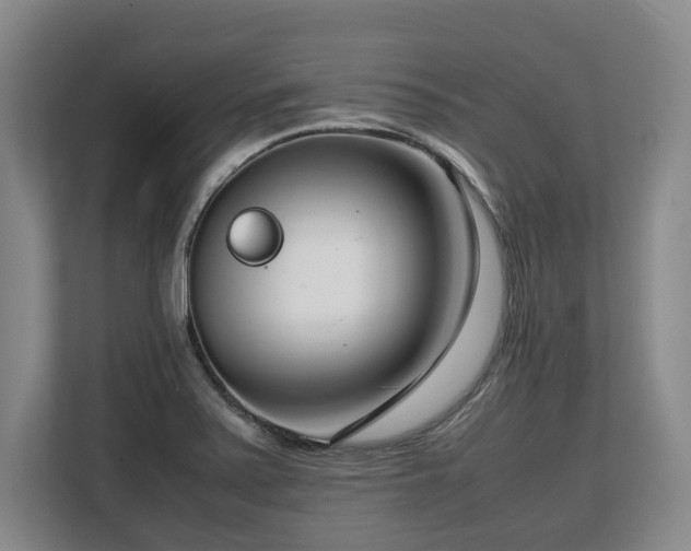 X0000108481371200904031421