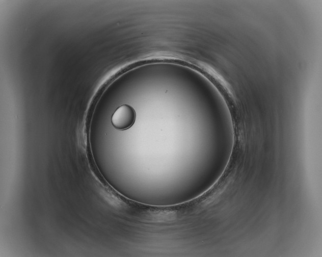 X0000108481372200904031421