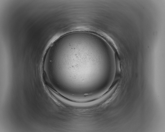 X0000108481373200904031421