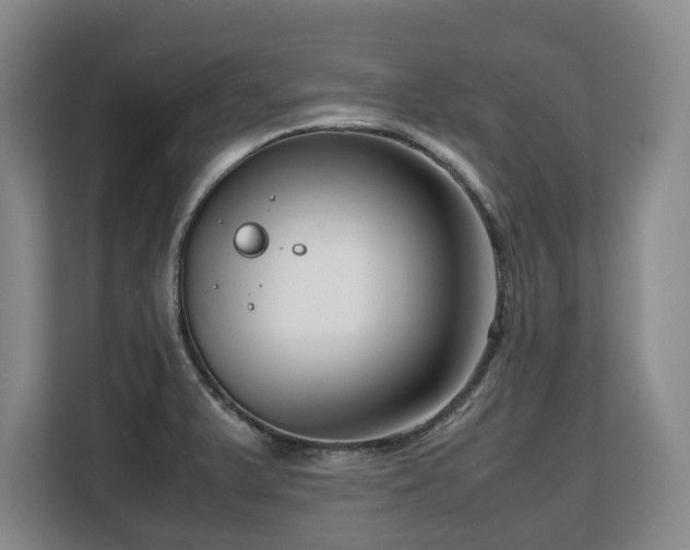 X0000108481375200904031421
