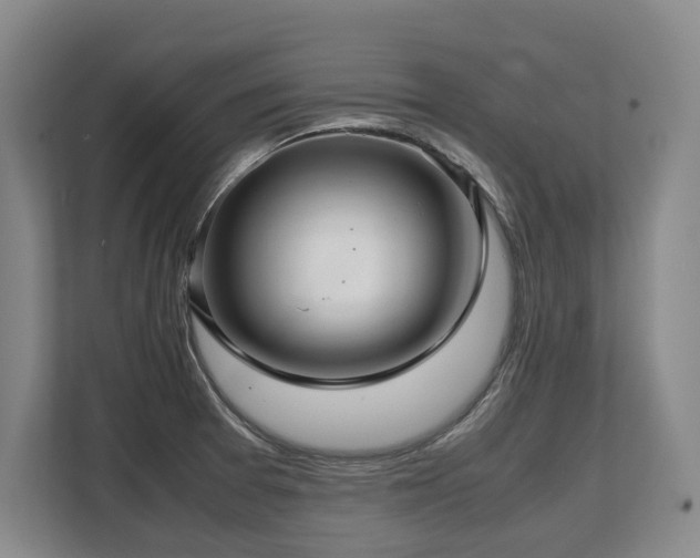 X0000108481377200904031421