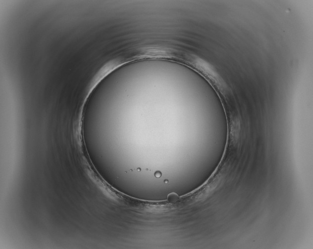 X0000108481378200904031421