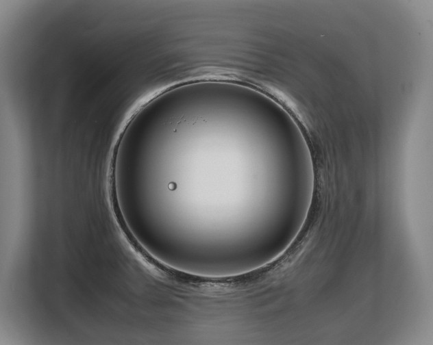 X0000108481379200904031421