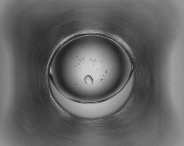 X0000108481380200904031421
