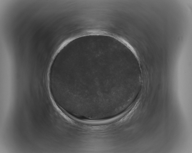 X0000108481381200904031421