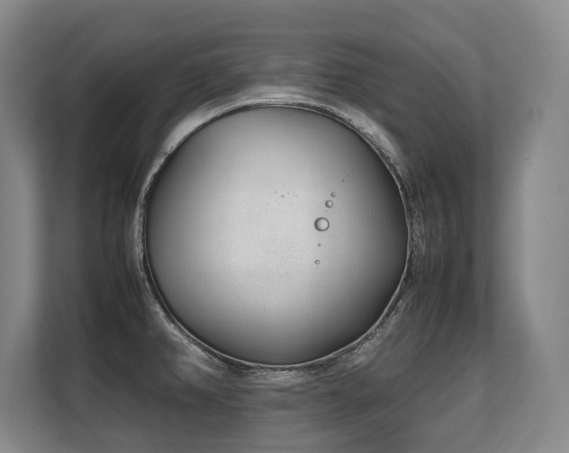 X0000108481382200904031421