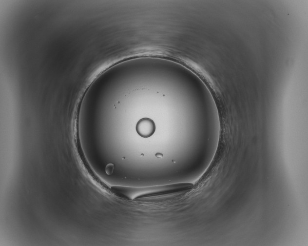 X0000108481383200904031421